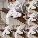 Cross-border best-selling European-style autumn-winter home wear for women, featuring sexy and casual fashion long-sleeved pants and pajama sets. Women's pajamas for summer with European-style letter patterns, short-sleeved T-shirts with bow ties and shor Cross-border best-selling European-style autumn-winter home wear for women, featuring sexy and casual fashion long-sleeved pants and pajama sets. Women's pajamas for summer with European-style letter patterns, short-sleeved T-shirts with bow ties and shor
